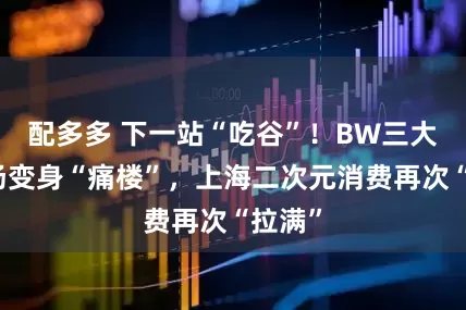 配多多 下一站“吃谷”！BW三大分会场变身“痛楼”，上海二次元消费再次“拉满”