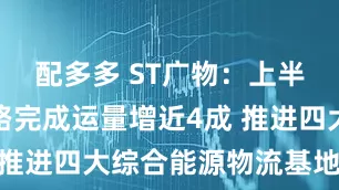 配多多 ST广物：上半年红淖铁路完成运量增近4成 推进四大综合能源物流基地建设